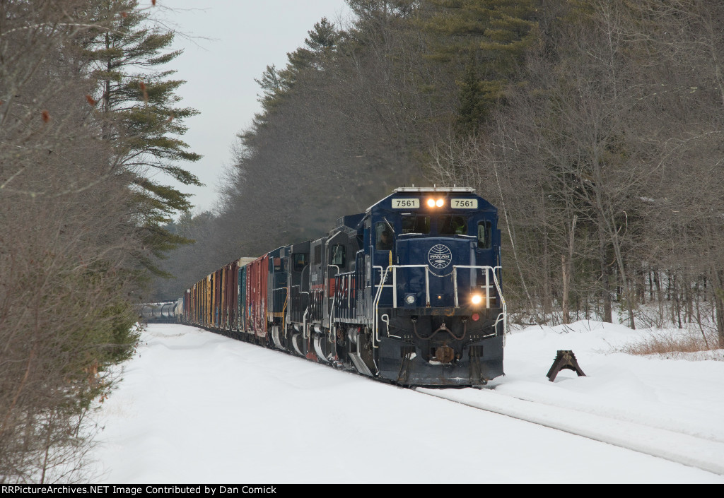 MEC 7561 Leads WAPO in Gray